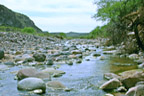 Accross the water at TT Ranch